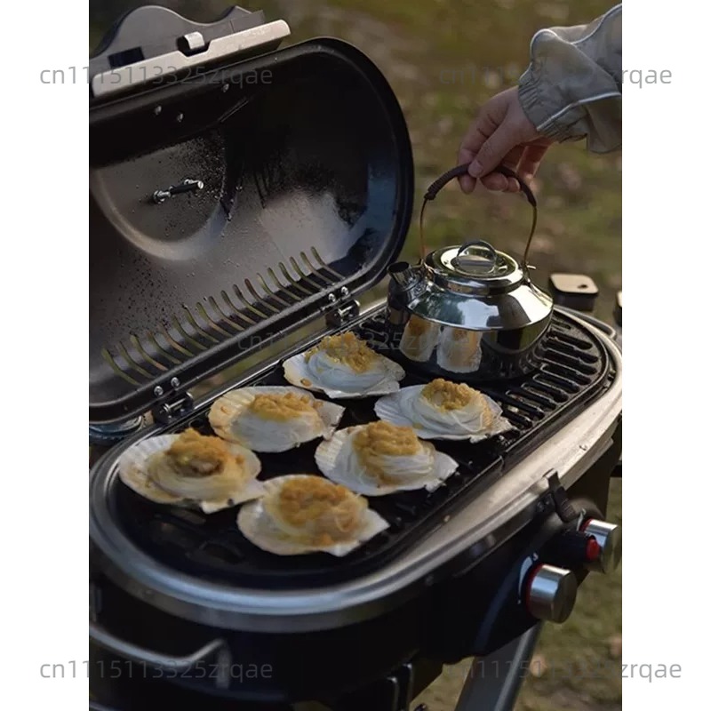 야외/실내 가스레인지 휴대용 프로판 캠핑 바베큐 그릴  - Camping Cooking Range 리뷰 및 가격